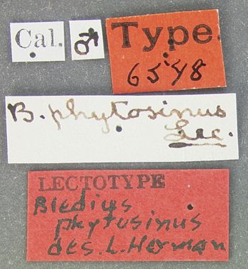 Media type: image;   Entomology 6548 Aspect: labels